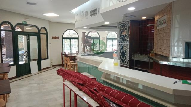 Imagen 5 Inmueble 303617 - Local Comercial en alquiler en Badajoz / Entre Av de Europa y Puerta Pilar. Muy céntrico !!!!