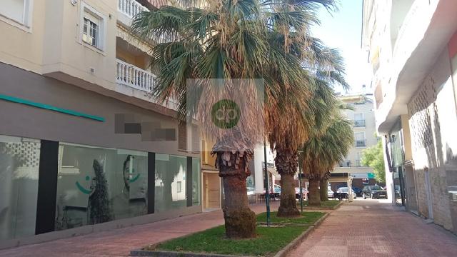 Imagen 2 Inmueble 305124 - Piso en venta en Badajoz / En la Avenida de Elvas, junto a MacDonalds