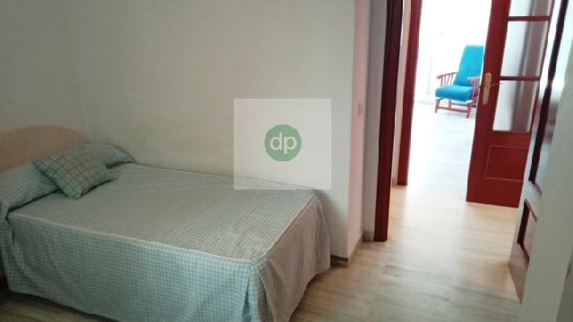 Imagen 33 Inmueble 305124 - Piso en venta en Badajoz / En la Avenida de Elvas, junto a MacDonalds