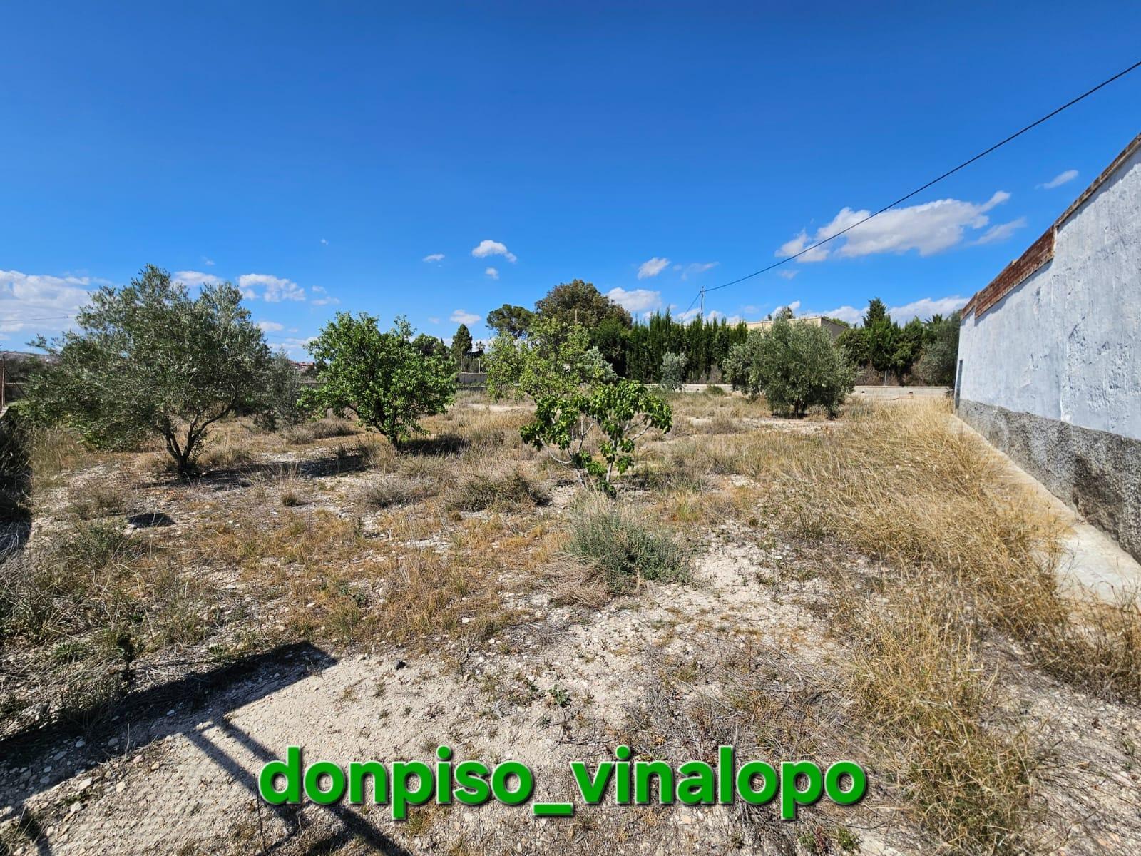 Imagen 4 Casa Rústica en venta en Petrer / Casa de Campo en Almafrá Alta de Petrer