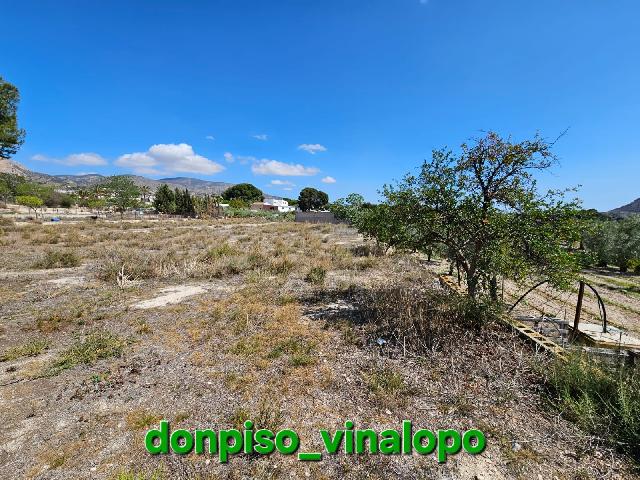 Imagen 28 Inmueble 284341 - Casa Rústica en venta en Petrer / Casa de Campo en Almafrá Alta de Petrer