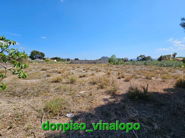 Imagen 29 Inmueble 284341 - Casa Rústica en venta en Petrer / Casa de Campo en Almafrá Alta de Petrer