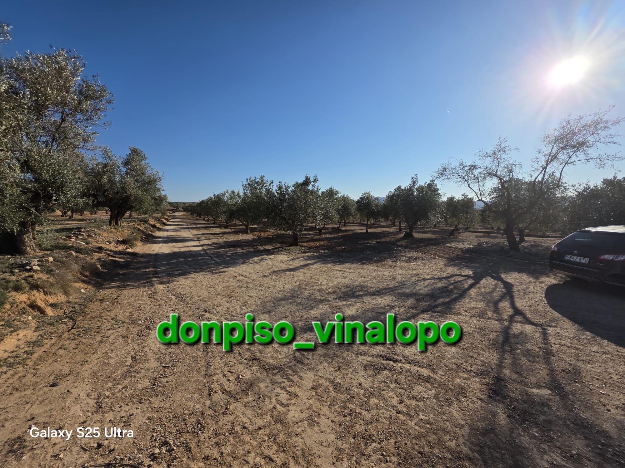 Imagen 20 Casa Rústica en venta en Caudete / Finca rústica con casa , Hoya Hermosa-Casa de Pina