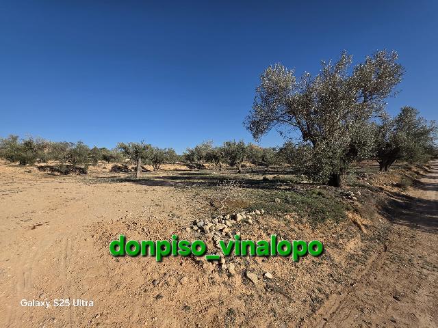 Imagen 21 Inmueble 301045 - Casa Rústica en venta en Caudete / Finca rústica con casa , Hoya Hermosa-Casa de Pina