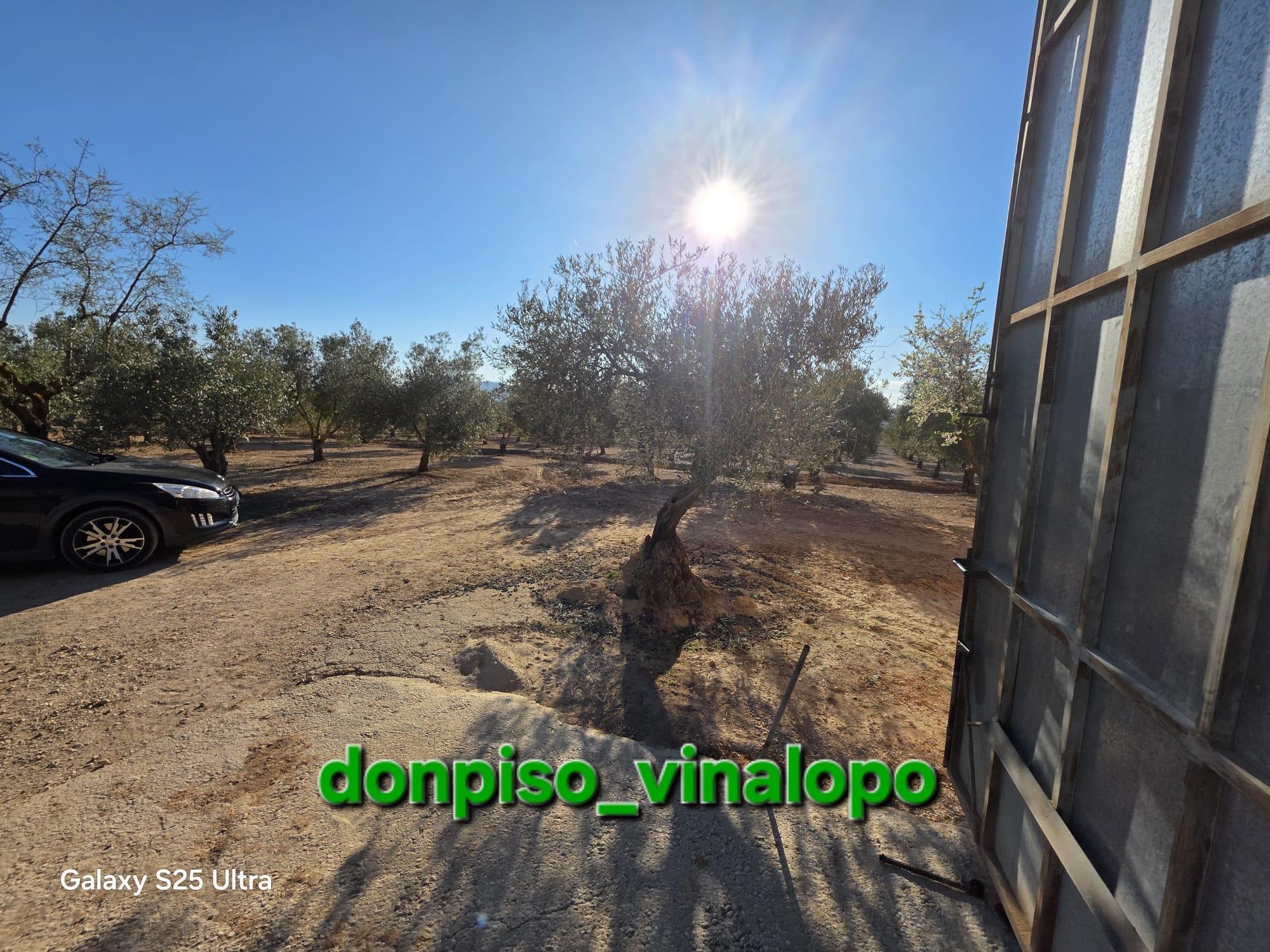 Imagen 18 Casa Rústica en venta en Caudete / Finca rústica con casa , Hoya Hermosa-Casa de Pina