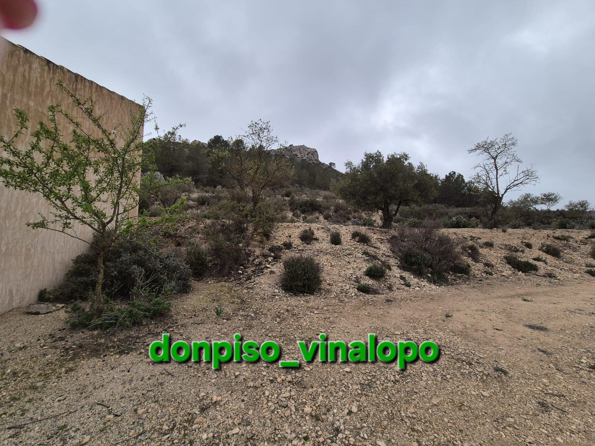 Imagen 9 Casa Adosada en venta en Villena / Parcela rústica con caseta en Cª de Biar, La Solana