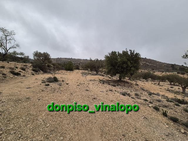 Imagen 10 Inmueble 301226 - Casa Adosada en venta en Villena / Parcela rústica con caseta en Cª de Biar, La Solana