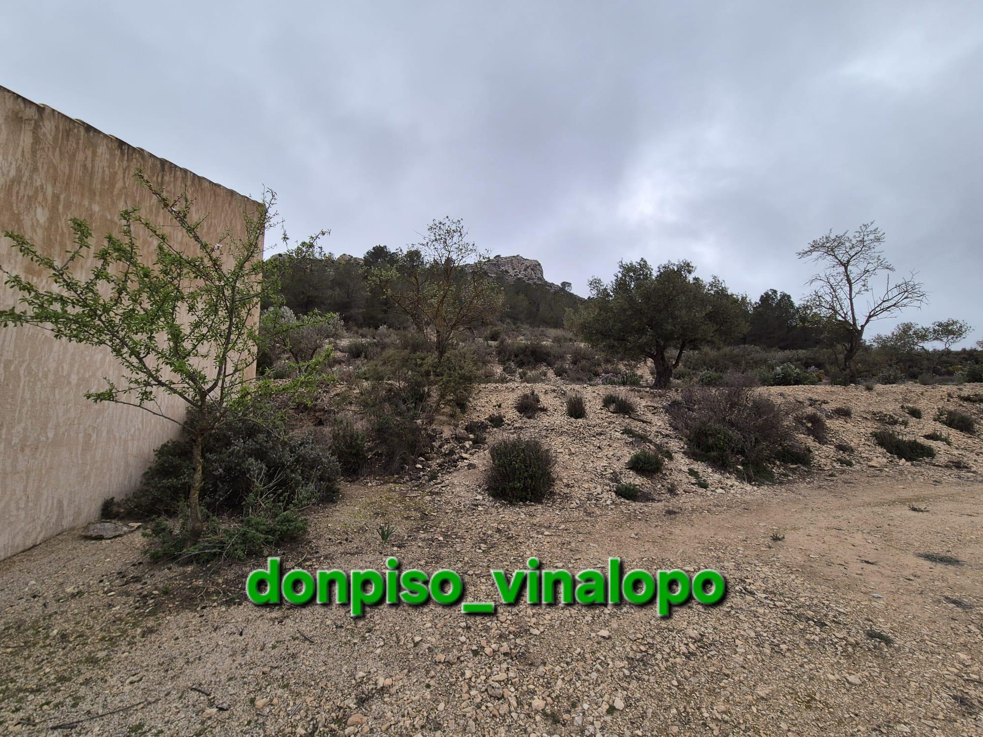 Imagen 11 Casa Adosada en venta en Villena / Parcela rústica con caseta en Cª de Biar, La Solana