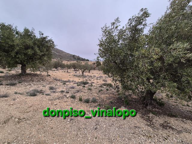 Imagen 12 Inmueble 301226 - Casa Adosada en venta en Villena / Parcela rústica con caseta en Cª de Biar, La Solana