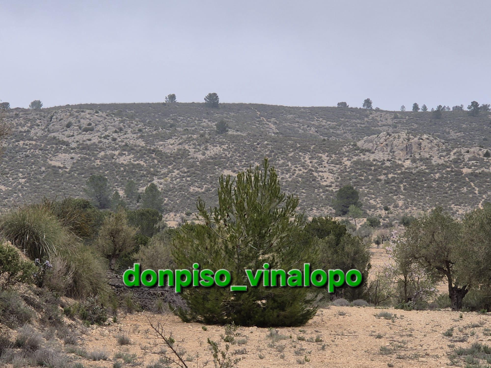 Imagen 13 Casa Adosada en venta en Villena / Parcela rústica con caseta en Cª de Biar, La Solana