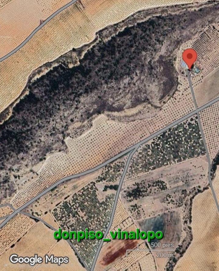 Imagen 2 Casa Rústica en venta en Villena / Caserón con parcela en cª Villena- Pinoso