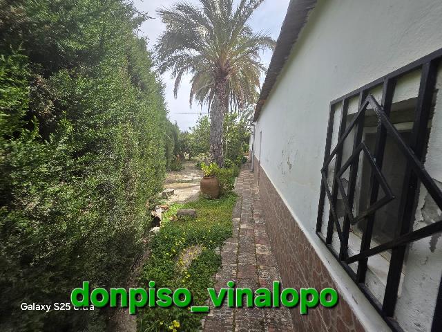 Imagen 8 Inmueble 302095 - Casa Rústica en venta en Elda / Casa de campo con balsa, zona Peter Rives - Finca Lacy