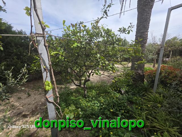 Imagen 36 Inmueble 302095 - Casa Rústica en venta en Elda / Casa de campo con balsa, zona Peter Rives - Finca Lacy