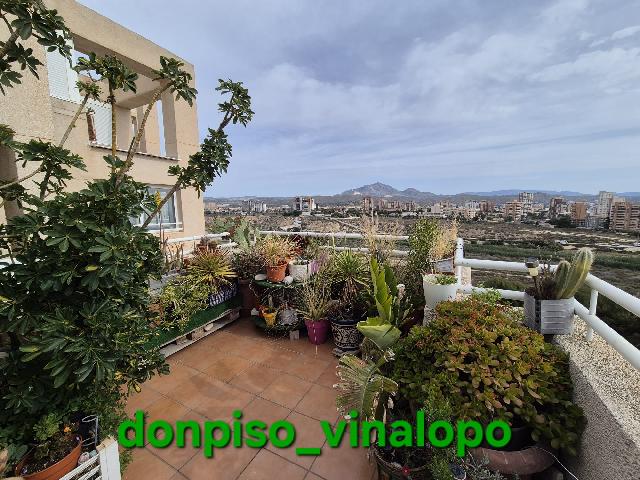 Imagen 2 Inmueble 302697 - Dúplex en venta en Campello (El) / Ático dúplex en urbanización en la playa de Muchavista