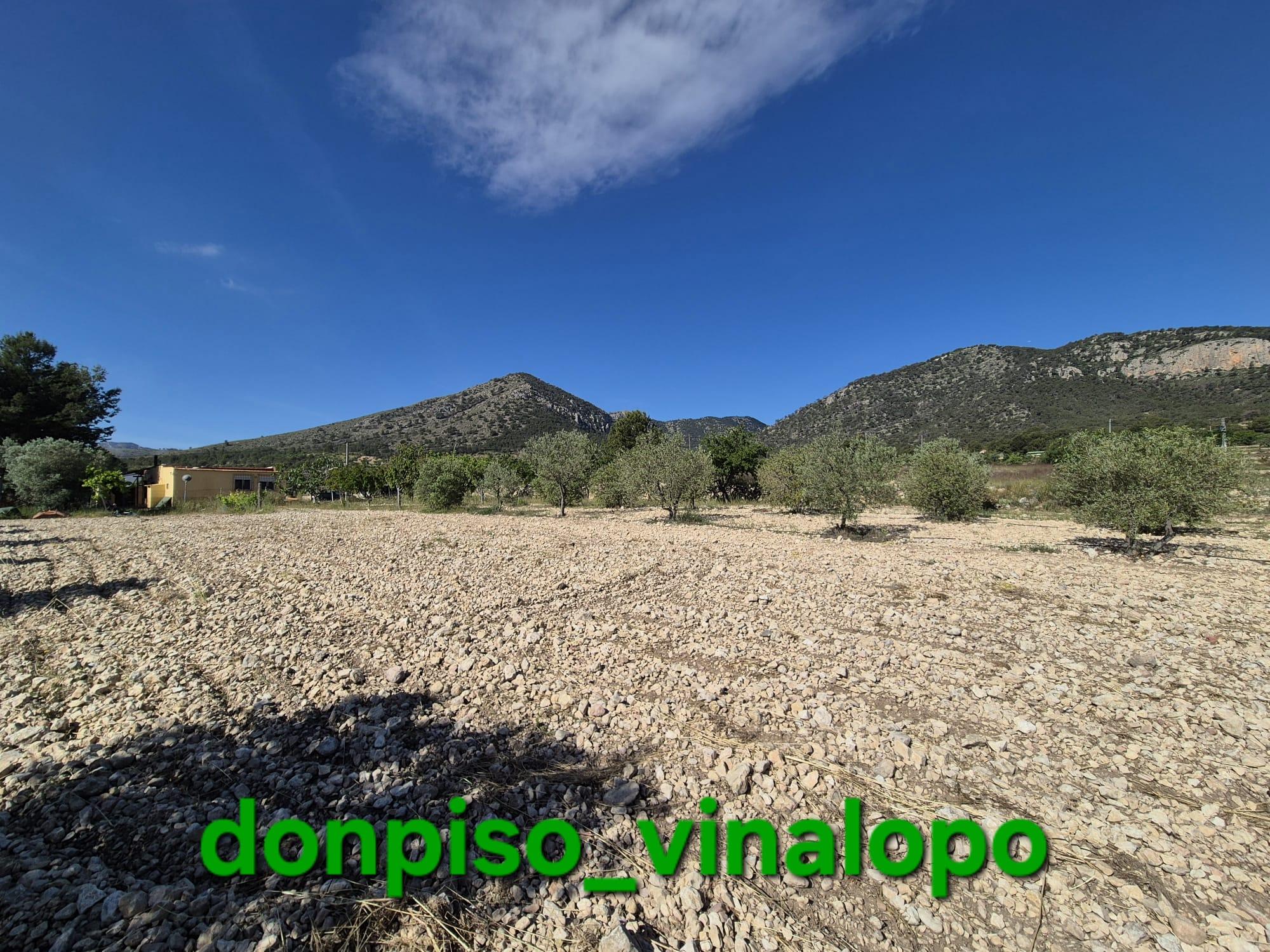 Imagen 13 Casa Rústica en venta en Monóvar/monòver / Casa de campo en zona La Romaneta - Cavafría