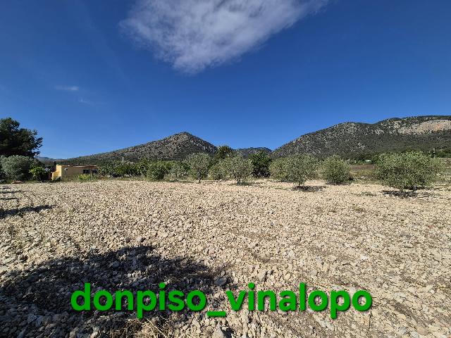 Imagen 13 Inmueble 302866 - Casa Rústica en venta en Monóvar/monòver / Casa de campo en zona La Romaneta - Cavafría