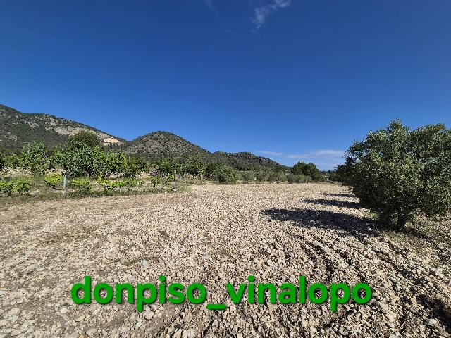 Imagen 15 Inmueble 302866 - Casa Rústica en venta en Monóvar/monòver / Casa de campo en zona La Romaneta - Cavafría