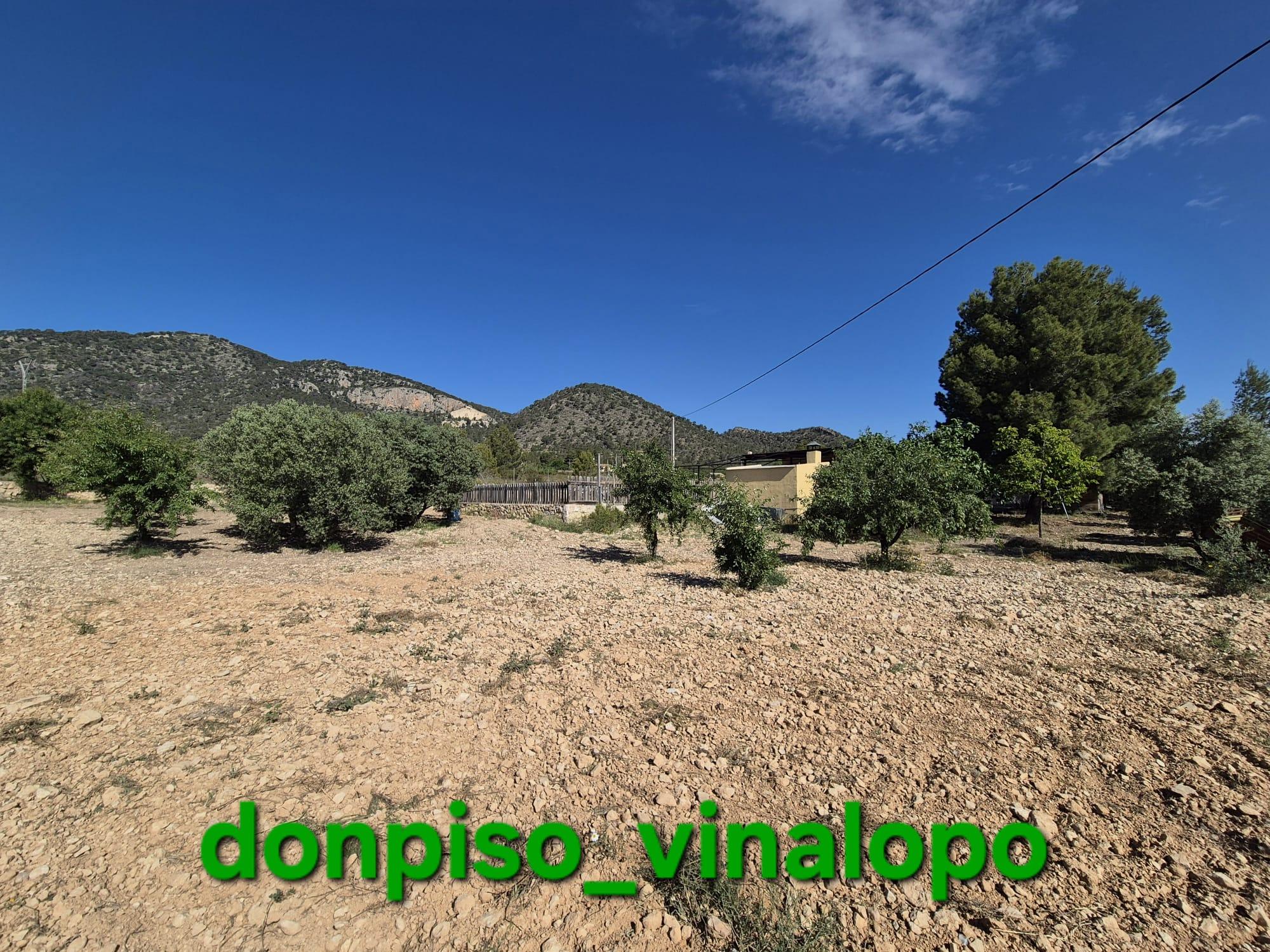 Imagen 16 Casa Rústica en venta en Monóvar/monòver / Casa de campo en zona La Romaneta - Cavafría