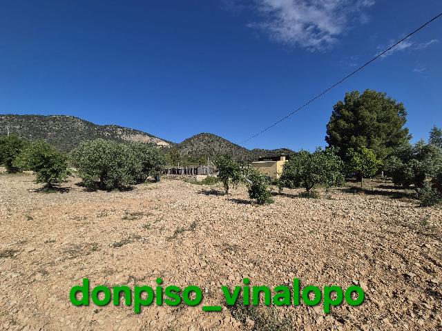 Imagen 16 Inmueble 302866 - Casa Rústica en venta en Monóvar/monòver / Casa de campo en zona La Romaneta - Cavafría