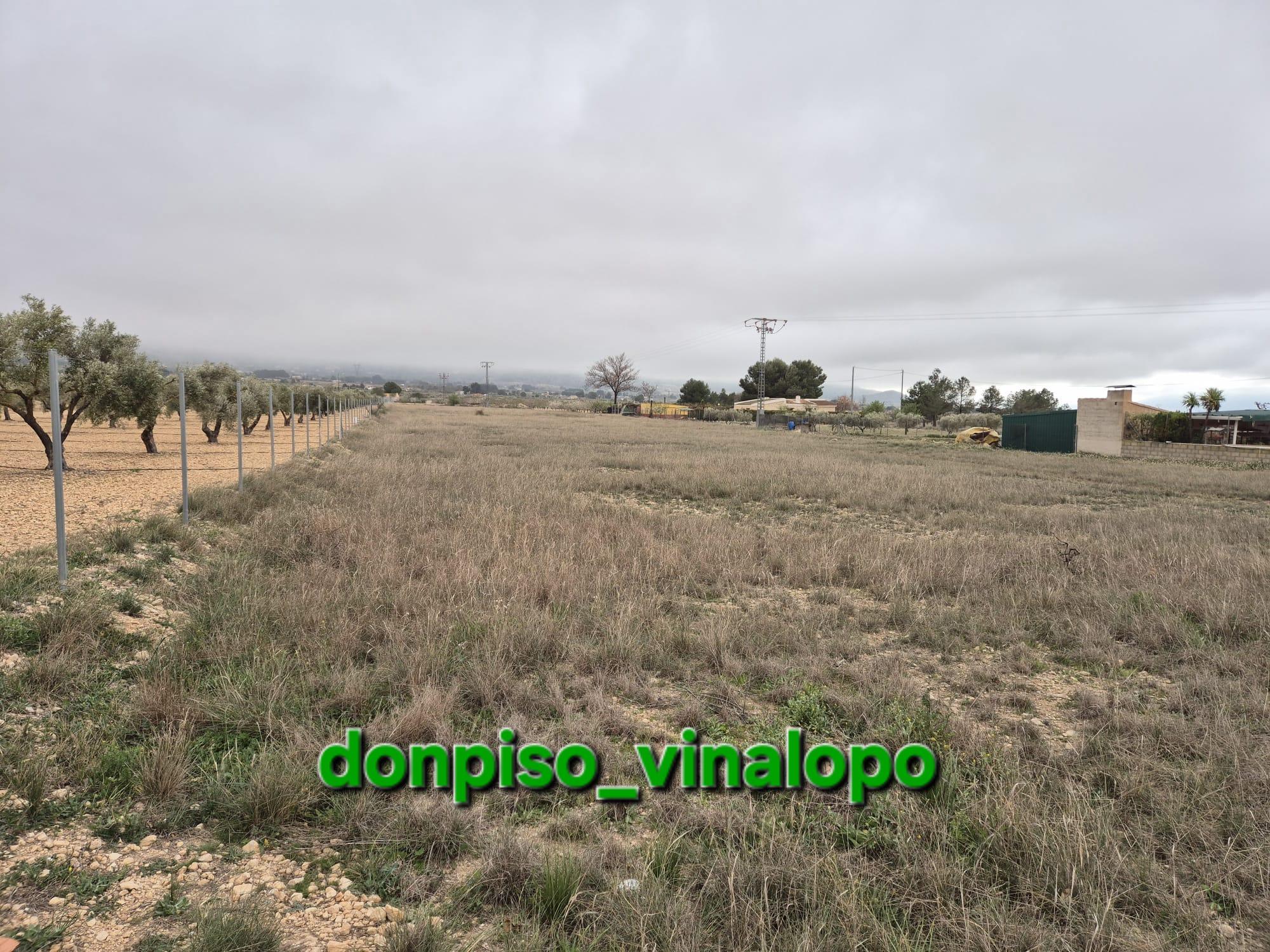 Imagen 1 Solar Rústico en venta en Villena / Parcela rústica en Partida del Pinar- Las Tiesas