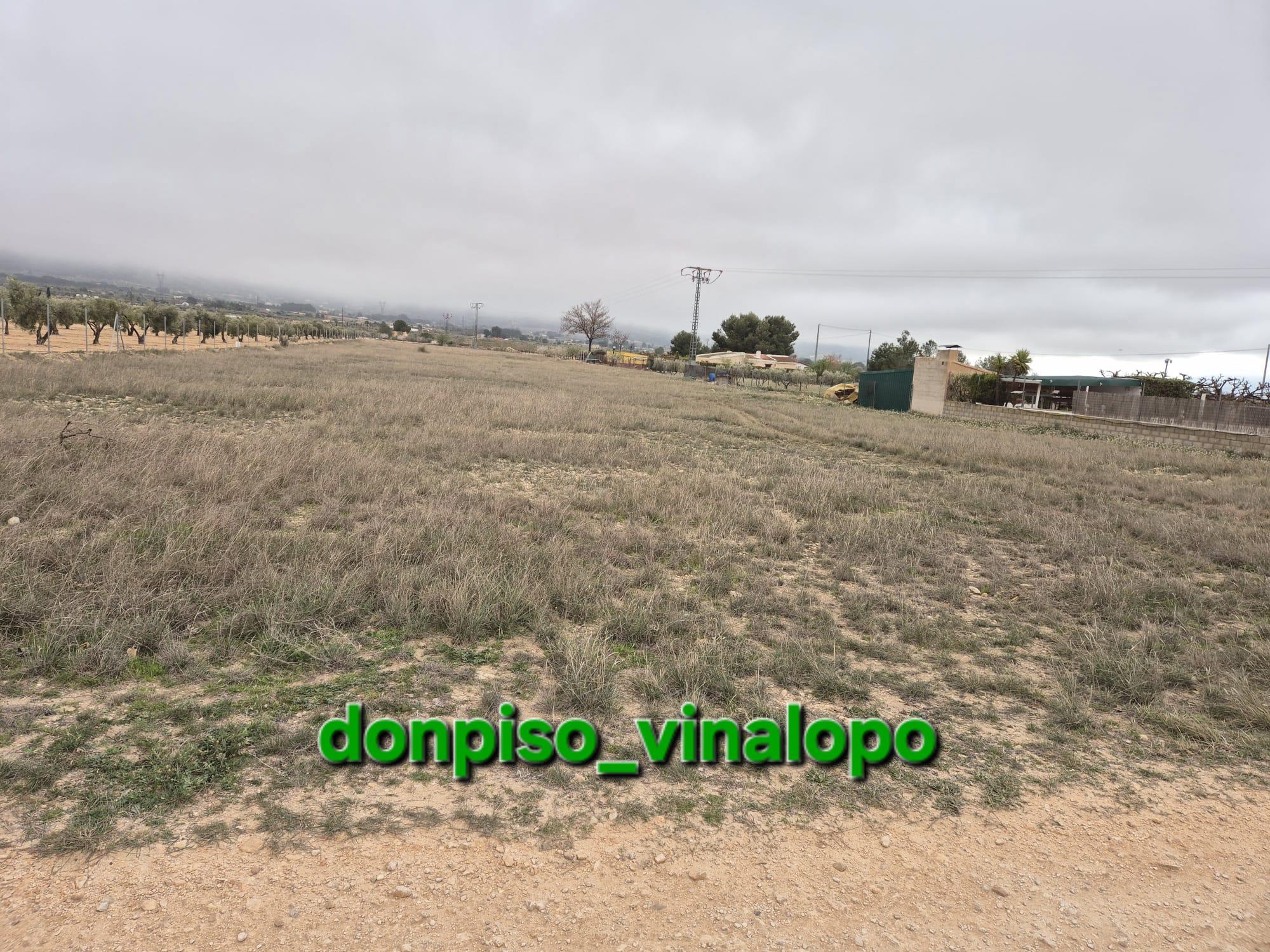 Imagen 3 Solar Rústico en venta en Villena / Parcela rústica en Partida del Pinar- Las Tiesas