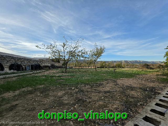 Imagen 26 Inmueble 304732 - Casa Adosada en venta en Pinós (El)/pinoso / Casa adosada con 3.000 m2 ,en Úbeda,  Pinoso,...