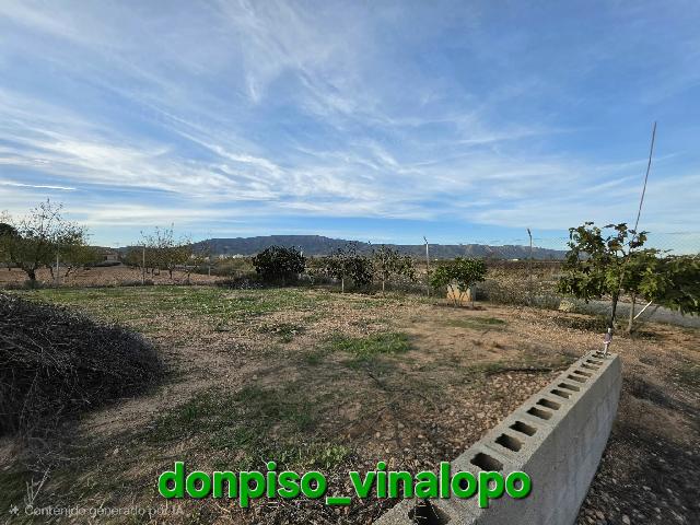 Imagen 29 Inmueble 304732 - Casa Adosada en venta en Pinós (El)/pinoso / Casa adosada con 3.000 m2 ,en Úbeda,  Pinoso,...