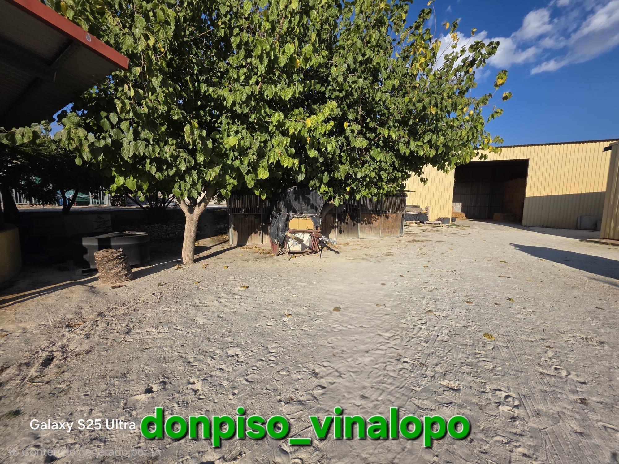 Imagen 31 Casa Rústica en venta en Petrer / Finca Rústica en Pedreres Altes - Cotxinets Petrer