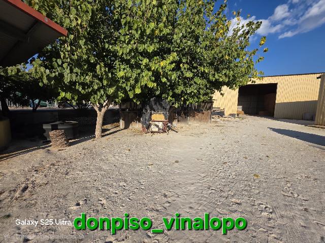 Imagen 31 Inmueble 306674 - Casa Rústica en venta en Petrer / Finca Rústica en Pedreres Altes - Cotxinets (Petrer)