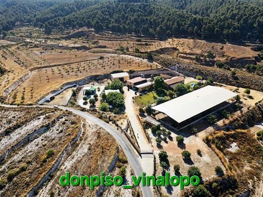 Imagen 40 Inmueble 306674 - Casa Rústica en venta en Petrer / Finca Rústica en Pedreres Altes - Cotxinets (Petrer)