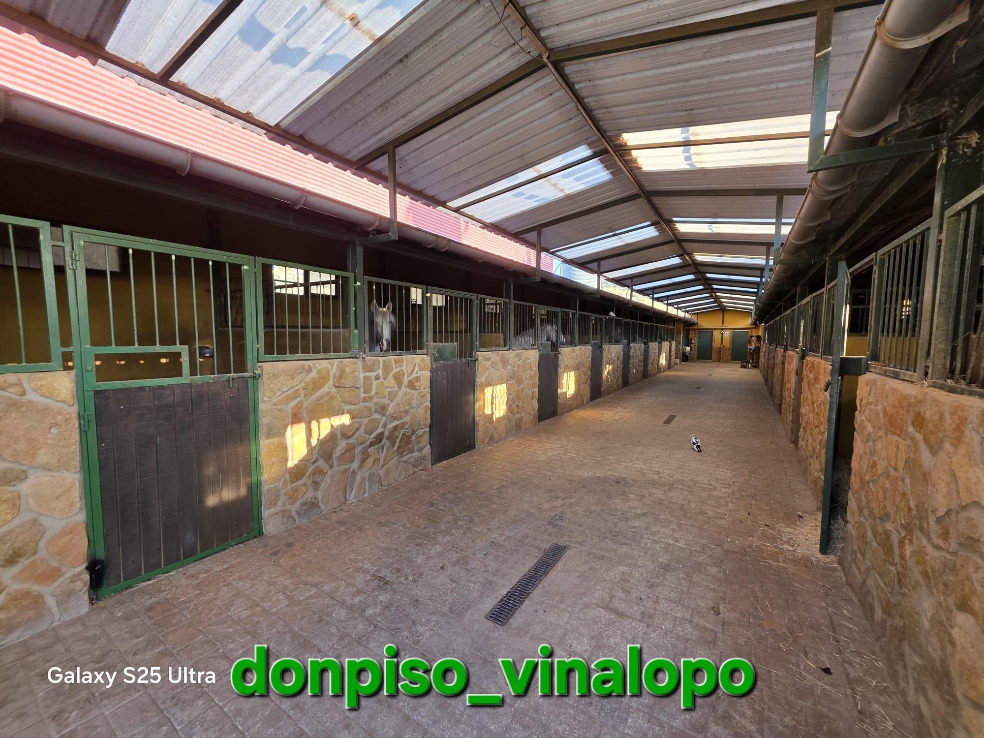 Imagen 26 Casa Rústica en venta en Petrer / Finca Rústica en Pedreres Altes - Cotxinets Petrer
