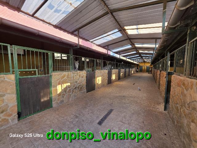 Imagen 26 Inmueble 306674 - Casa Rústica en venta en Petrer / Finca Rústica en Pedreres Altes - Cotxinets (Petrer)