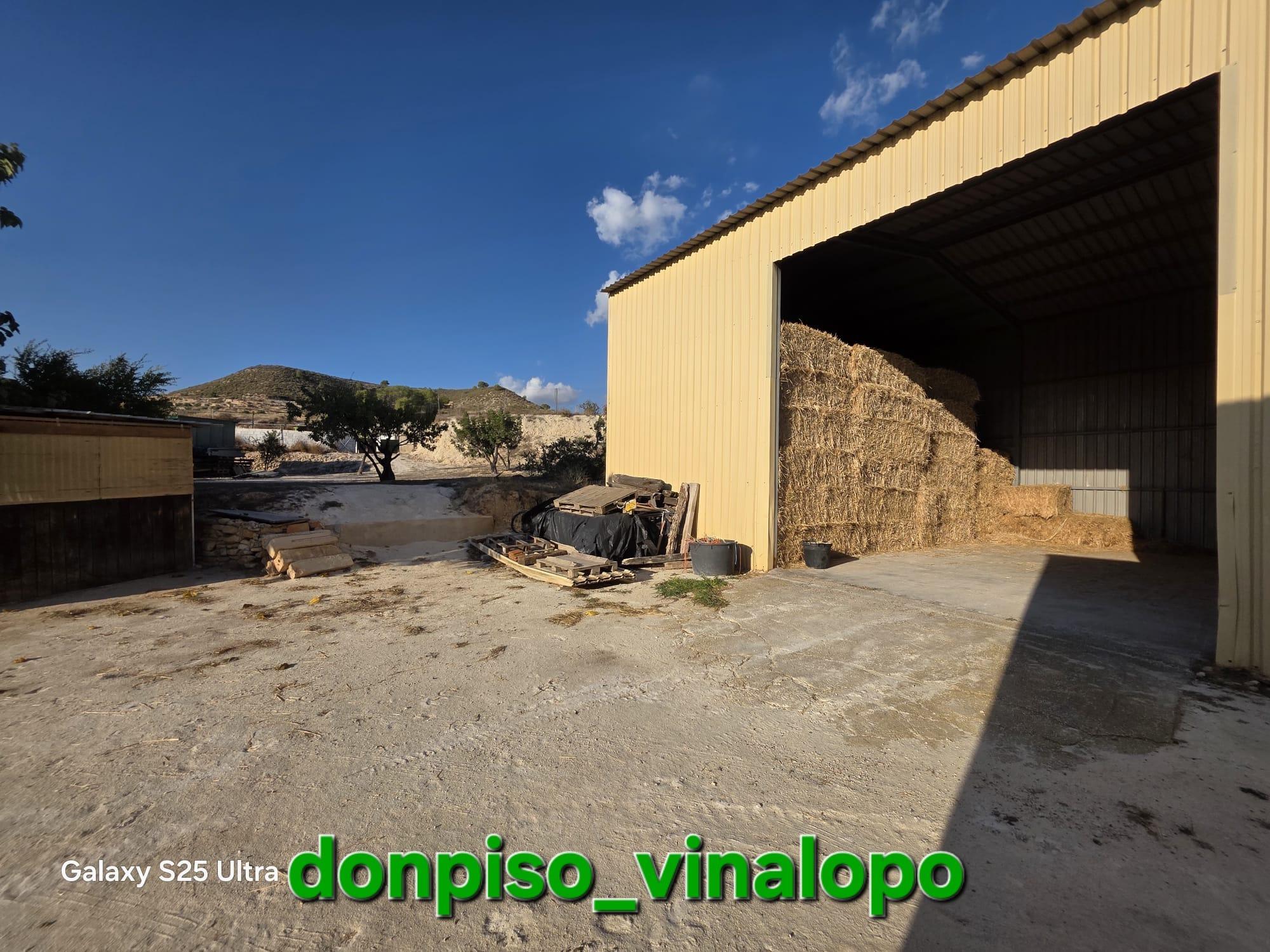 Imagen 32 Casa Rústica en venta en Petrer / Finca Rústica en Pedreres Altes - Cotxinets Petrer