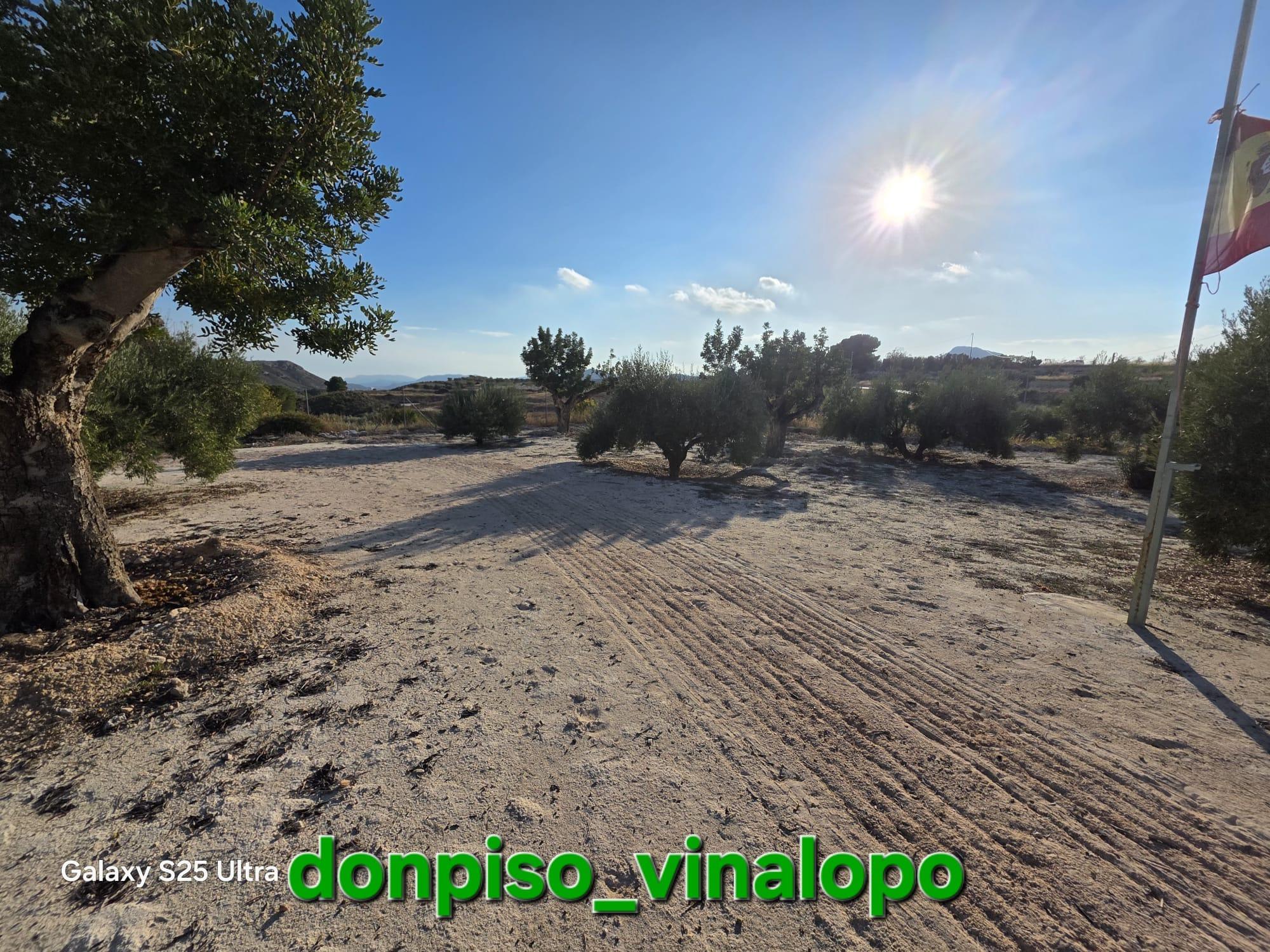 Imagen 38 Casa Rústica en venta en Petrer / Finca Rústica en Pedreres Altes - Cotxinets Petrer