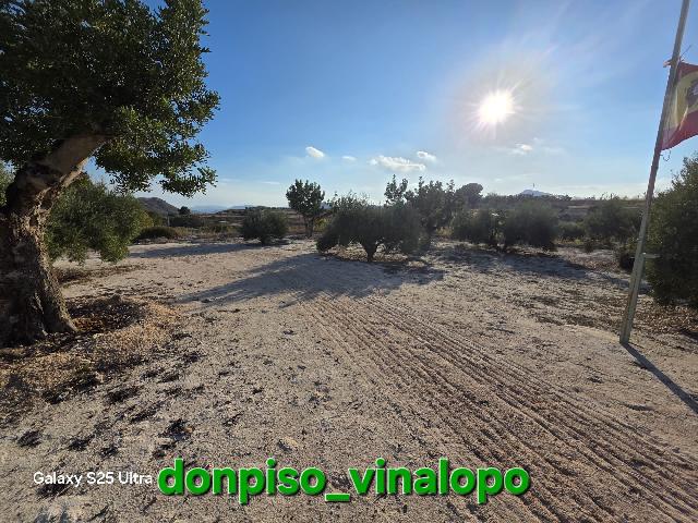 Imagen 38 Inmueble 306674 - Casa Rústica en venta en Petrer / Finca Rústica en Pedreres Altes - Cotxinets (Petrer)