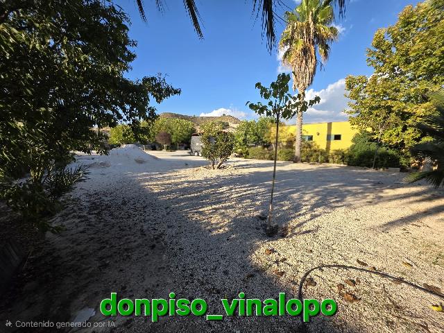 Imagen 37 Inmueble 306674 - Casa Rústica en venta en Petrer / Finca Rústica en Pedreres Altes - Cotxinets (Petrer)