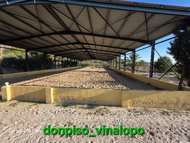 Imagen 34 Inmueble 306674 - Casa Rústica en venta en Petrer / Finca Rústica en Pedreres Altes - Cotxinets (Petrer)