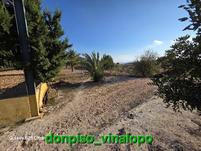 Imagen 33 Inmueble 306674 - Casa Rústica en venta en Petrer / Finca Rústica en Pedreres Altes - Cotxinets (Petrer)