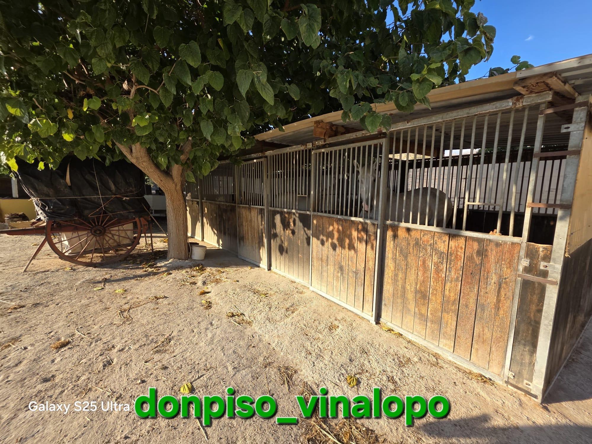 Imagen 30 Casa Rústica en venta en Petrer / Finca Rústica en Pedreres Altes - Cotxinets Petrer