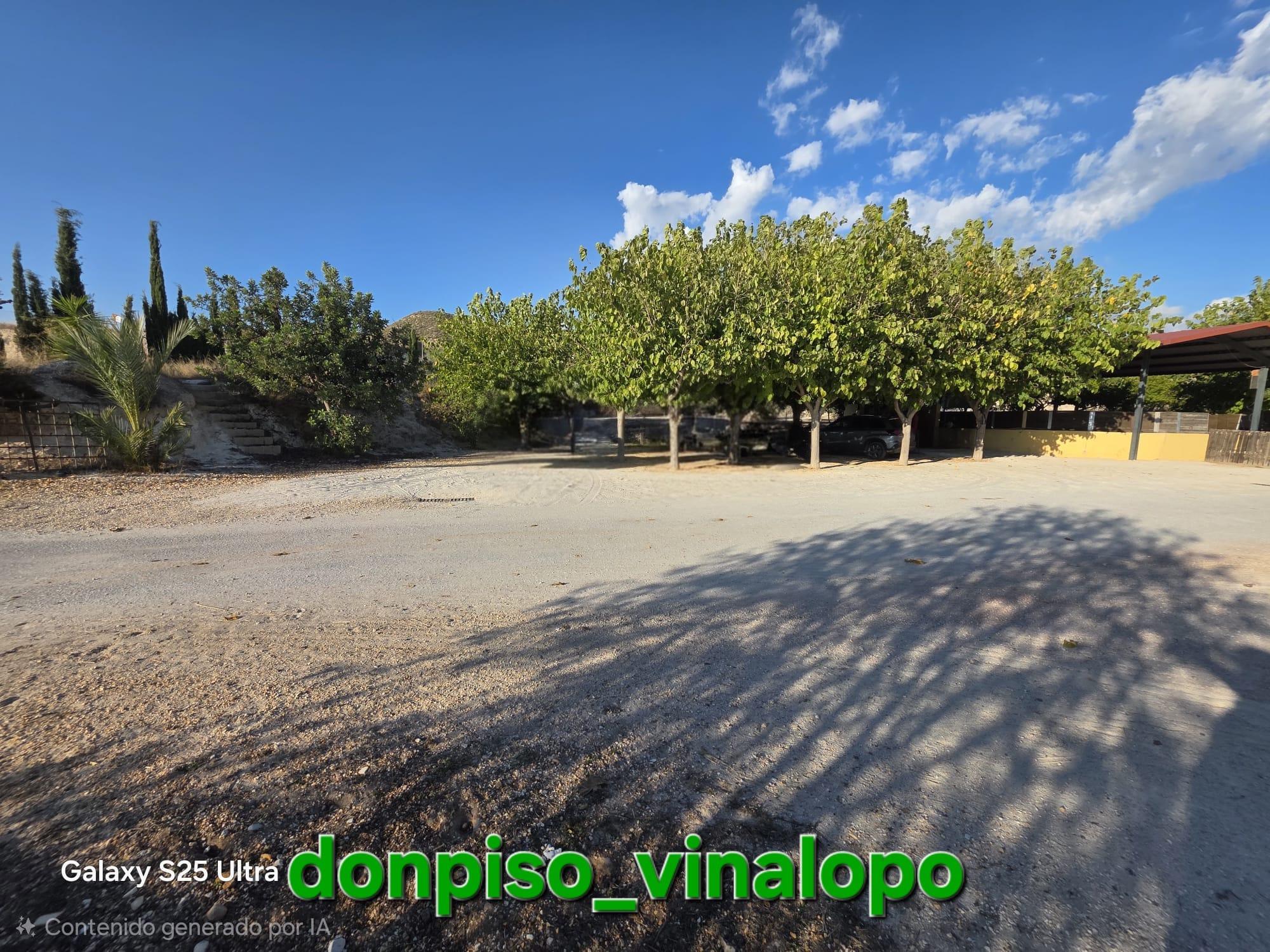 Imagen 29 Casa Rústica en venta en Petrer / Finca Rústica en Pedreres Altes - Cotxinets Petrer