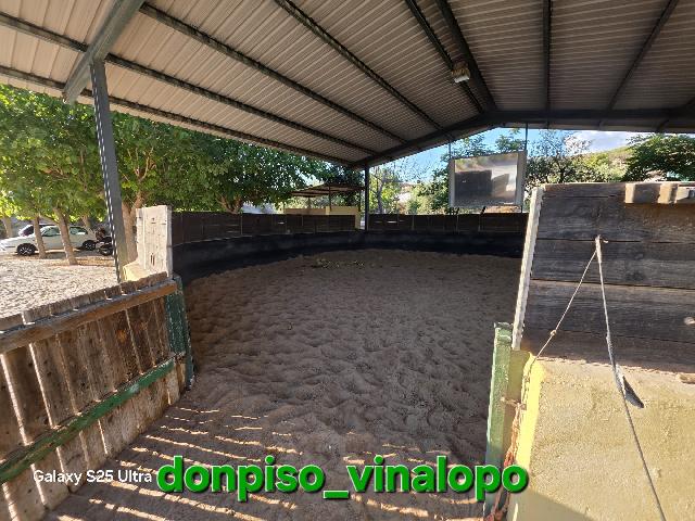 Imagen 28 Inmueble 306674 - Casa Rústica en venta en Petrer / Finca Rústica en Pedreres Altes - Cotxinets (Petrer)