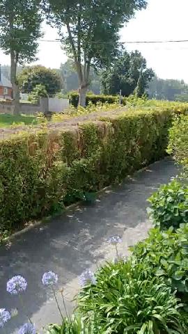 Imagen 37 Inmueble 286403 - Casa Aislada en venta en Oleiros / Cerca del club de golf y pazo de xaz