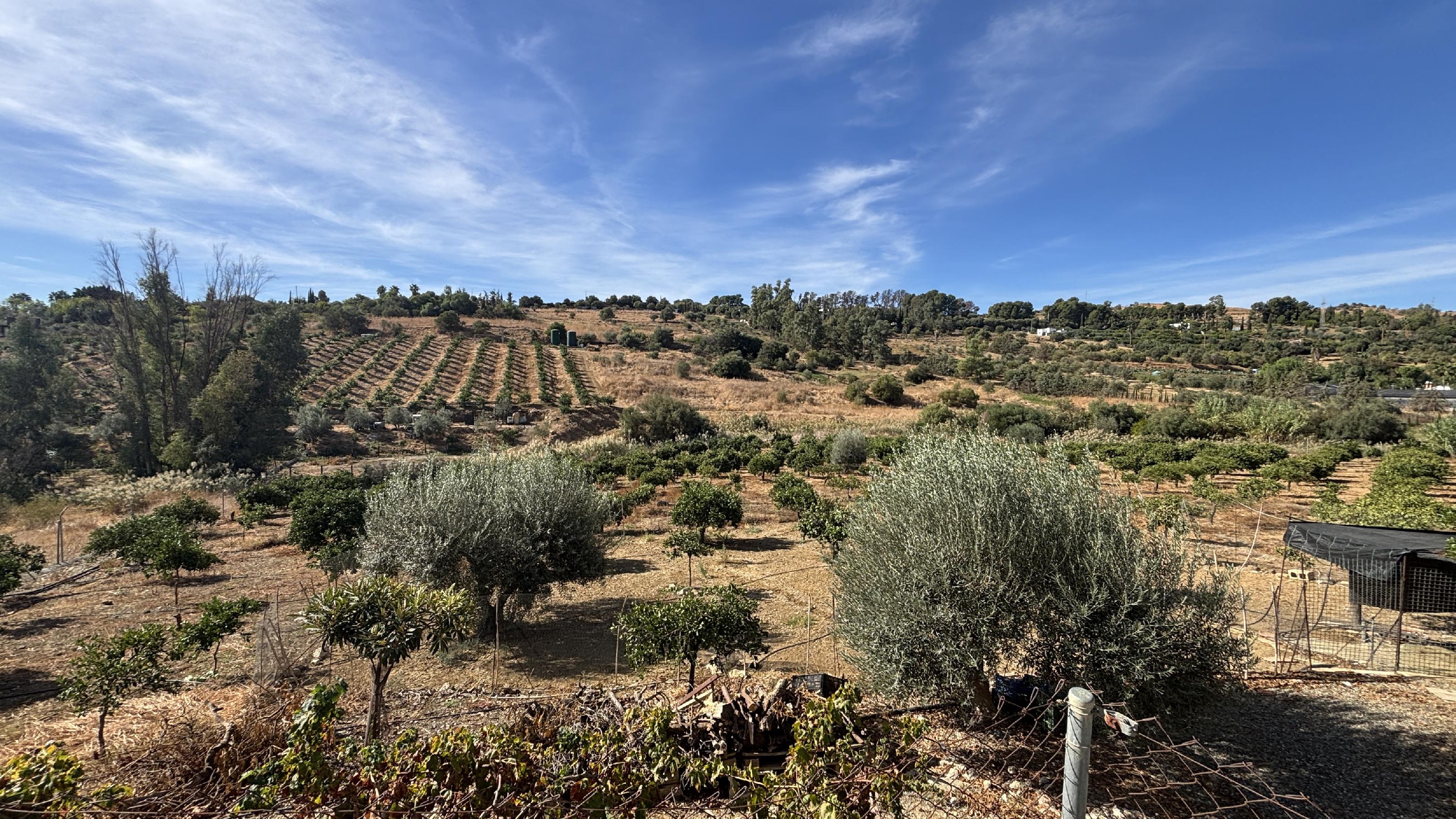 Imagen 27 Casa Rústica en venta en Pizarra / Ubicado a  1 kl de la carretera principal, con vecinos. Imagen 27 Casa Rústica en venta en Pizarra / Ubicado a  1 kl de la carretera principal, con vecinos.