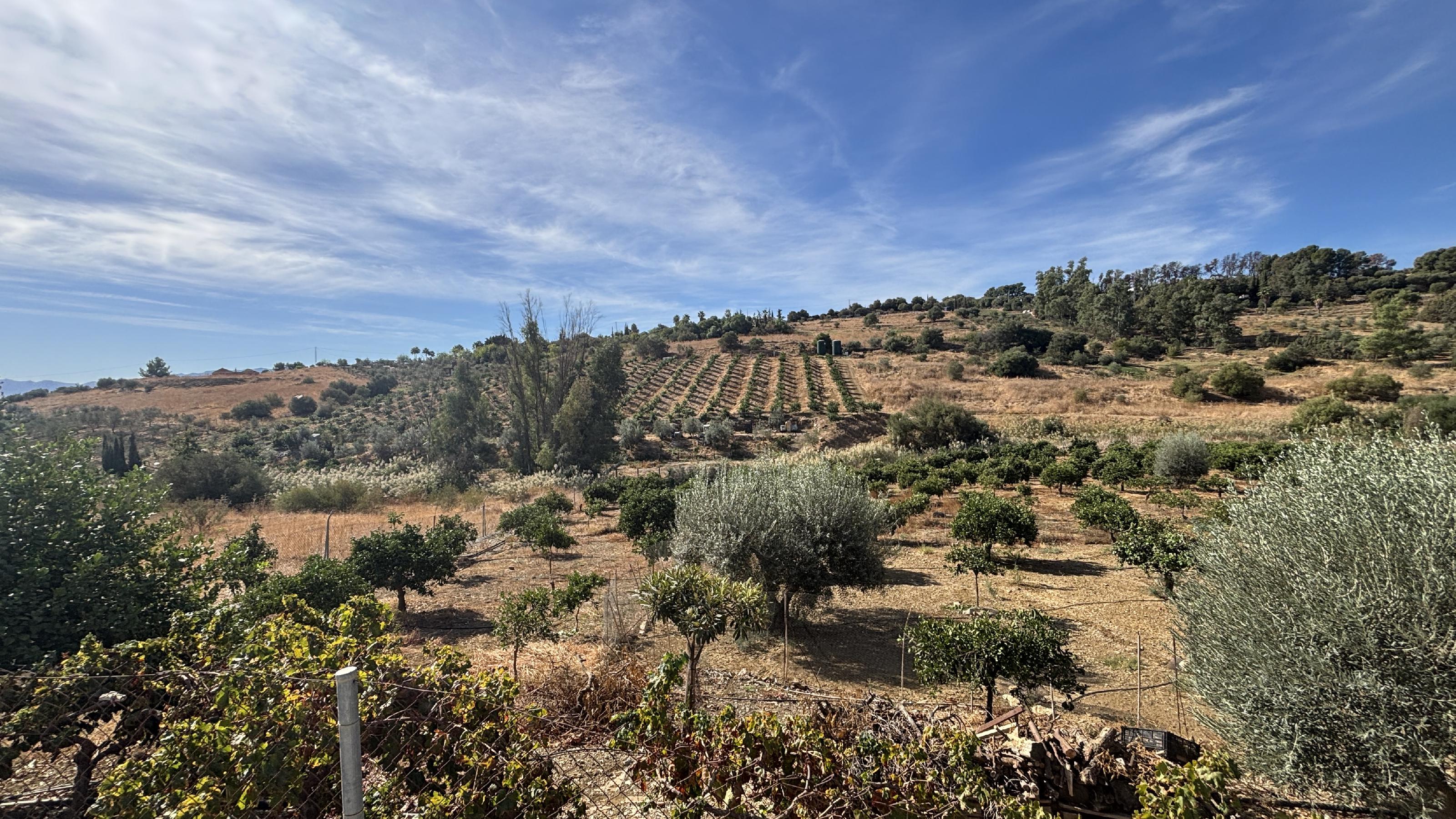 Imagen 32 Casa Rústica en venta en Pizarra / Ubicado a  1 kl de la carretera principal, con vecinos. Imagen 32 Casa Rústica en venta en Pizarra / Ubicado a  1 kl de la carretera principal, con vecinos.