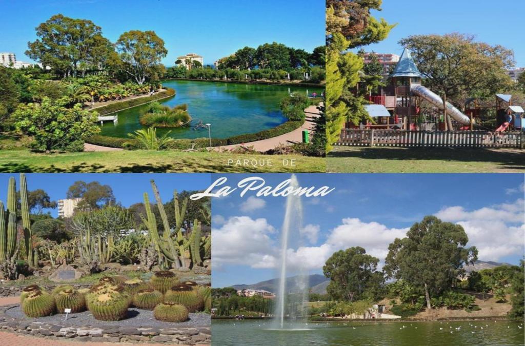 Imagen 21 Planta Baja en venta en Benalmádena / En el centro del turismo en Benalmádena, playa andando