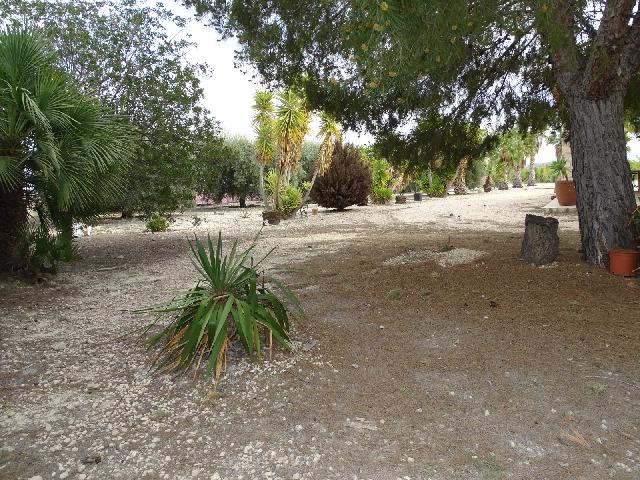 Imagen 5 Inmueble 301152 - Casa Rústica en venta en Albudeite / A 5 minutos de Campos del Rio 