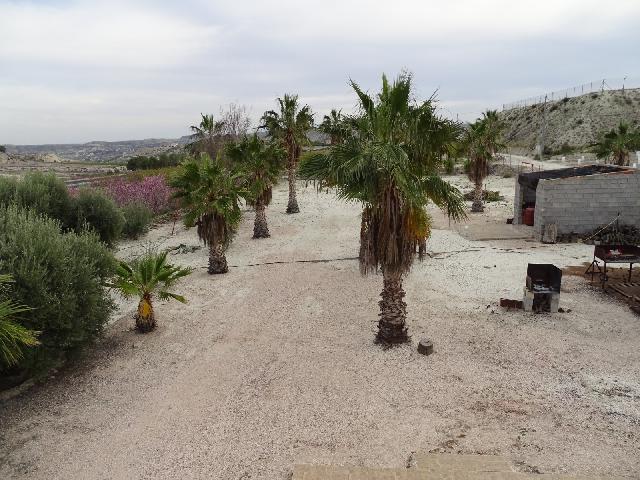 Imagen 7 Inmueble 301152 - Casa Rústica en venta en Albudeite / A 5 minutos de Campos del Rio 