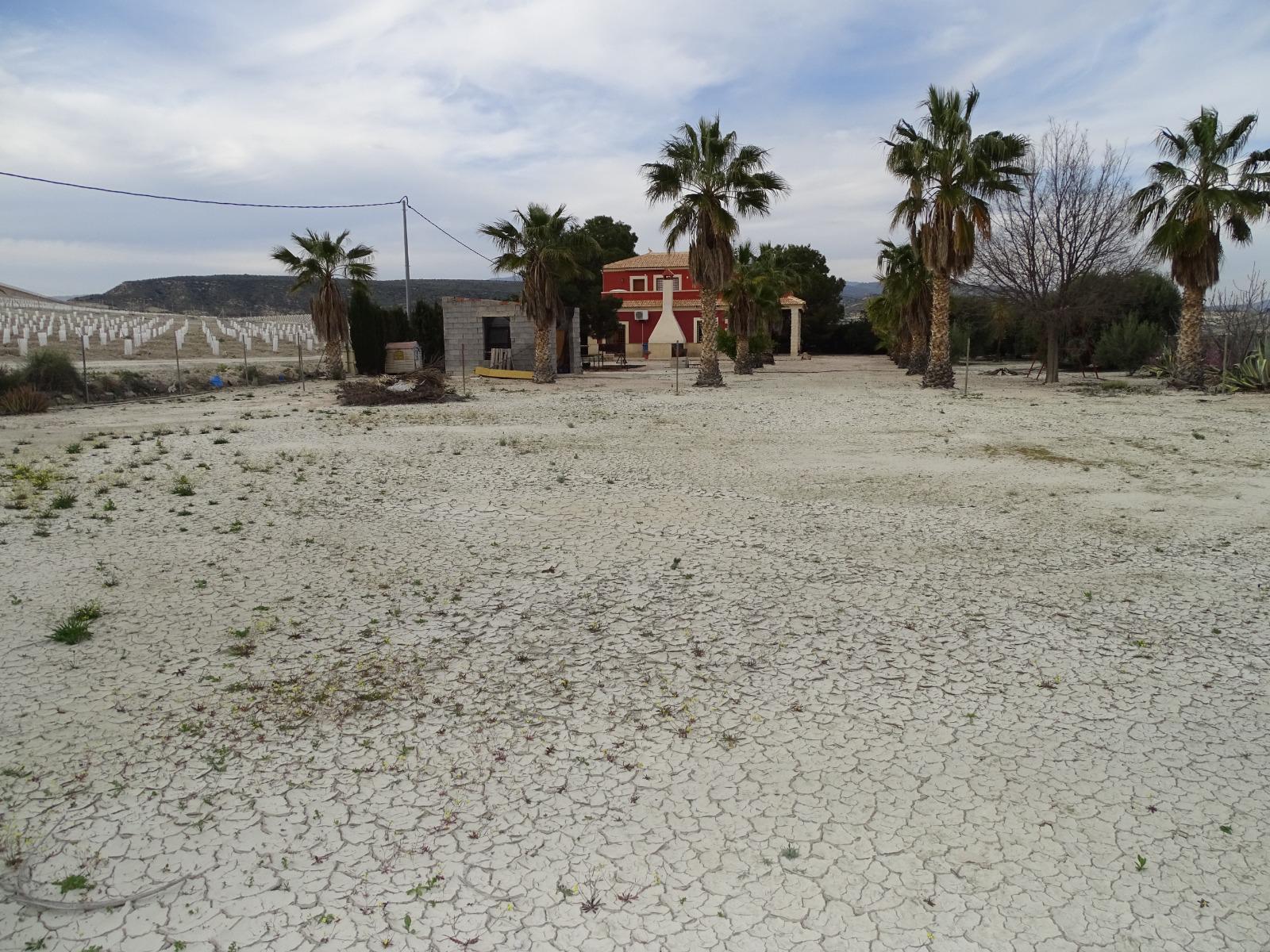 Imagen 6 Casa Rústica en venta en Albudeite / A 5 minutos de Campos del Rio 