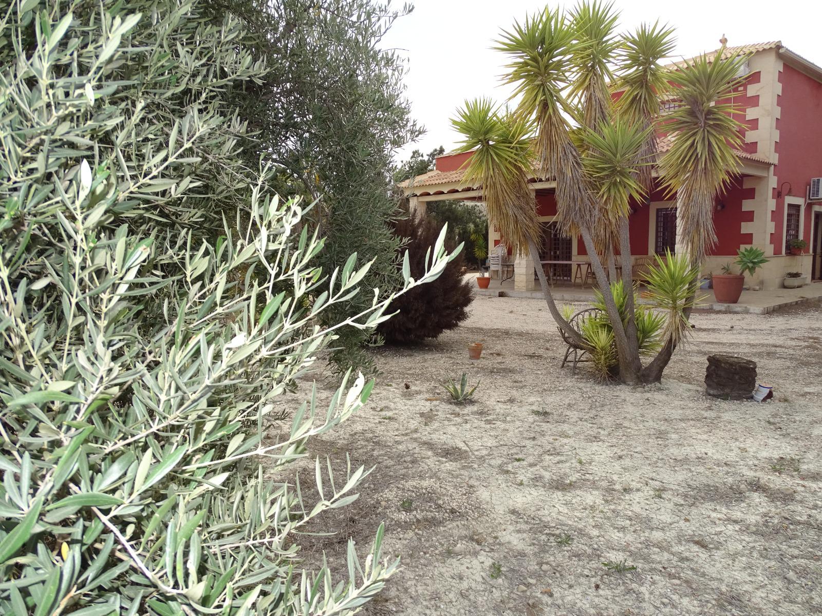 Imagen 3 Casa Rústica en venta en Albudeite / A 5 minutos de Campos del Rio 