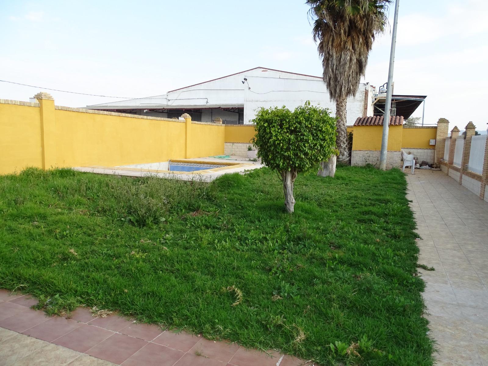 Imagen 6 Casa Aislada en venta en Murcia / Cerca de todos los servicios